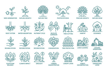 Obraz premium Tree growth process vector illustration, nature ecosystem balance, and environmental care icons set.