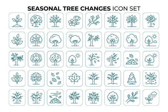 Seasonal tree changes icon set vector illustration depicting foliage transformation through seasons.