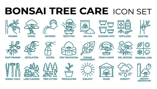 Bonsai tree care vector illustration, pruning, wiring, and watering icons set.