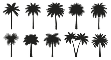 Naklejka premium Collection of Palm Tree Silhouettes Vector Icons