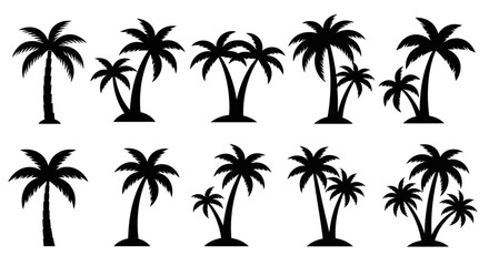 Fototapeta premium Set of Black Palm Tree Silhouettes, Tropical Beach Vegetation Collection