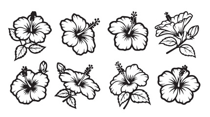 Obraz premium Collection of stylized hibiscus flowers with leaves in a clean black and white graphic design style