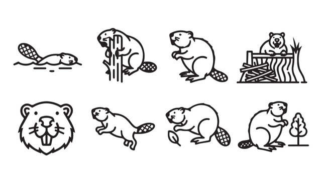 Collection of playful beaver icons in a simple line art style for nature and wildlife design