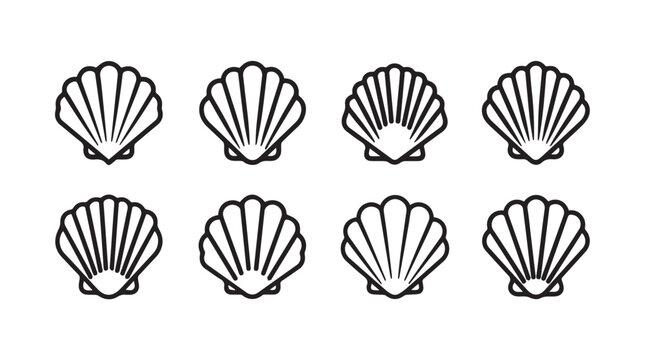 Collection of scallop shells in a minimalist line art style on a white background