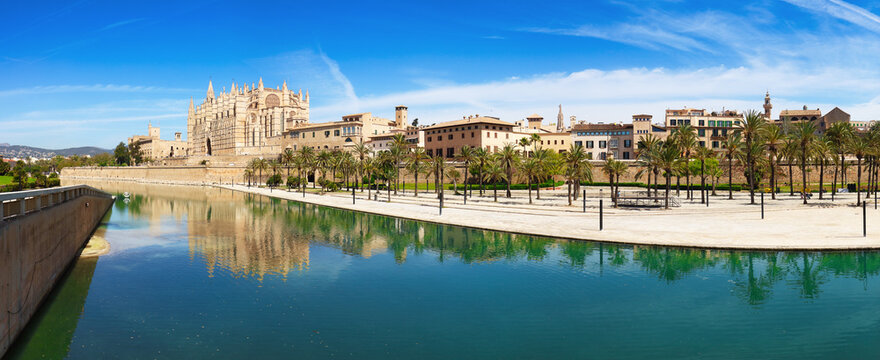 Cathedral of Mallorca and park with palm trees. Parc de la Mar in Palma de Mallorca - panorama