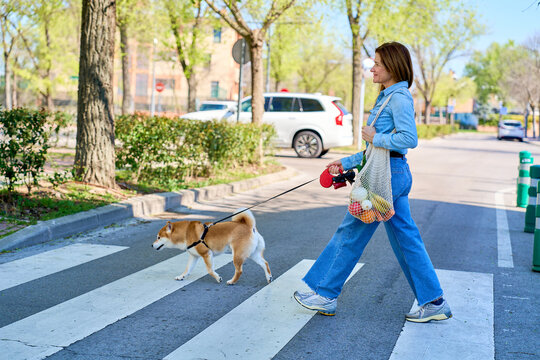 Mature woman walking dog and carrying groceries