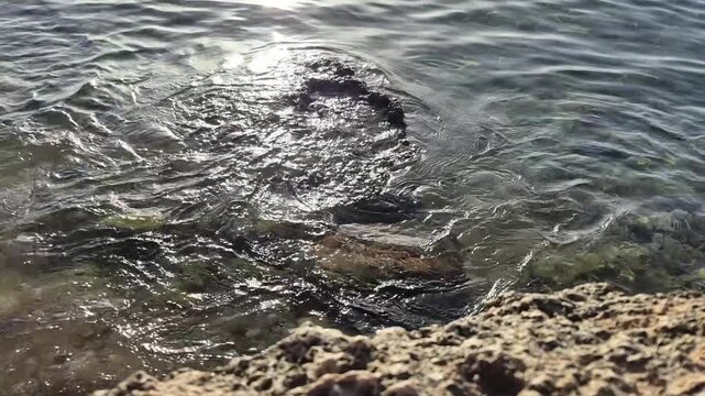 Waves of the clearest water crash against the rocky shore, reflected in the sun's rays.