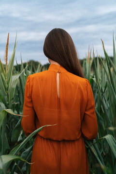 Woman standing amidst crops in corn field