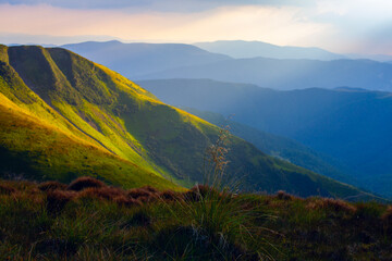 Obraz premium Sunrise over the Carpathian mountains, view from mountain Zhandarm mountains peak. Dragobrat, Ukraine.