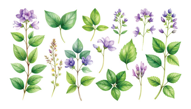 A simple illustration of violet flowers with leaves in a natural floral design pattern