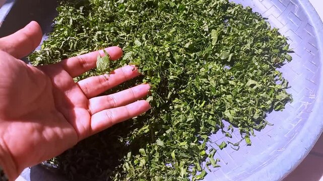 Top view of fresh chopped green lime leaves, perfectly sliced for cooking ingredients, herbal seasoning, or healthy food background. High-quality organic vegetable texture.