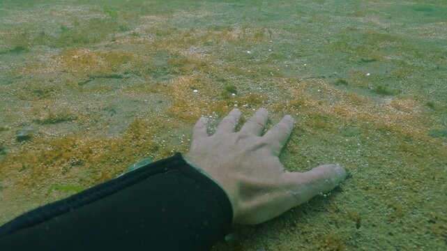 As he descends to seabed, men's hand slides through large colony of microalgae, disturbing thin biofilm covered in gas bubbles, pieces of which break off and float up along with tiny bubbles, POV.