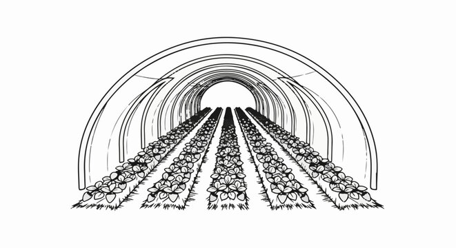 Rows of plants grow under a protective arched structure, creating a tunnel effect