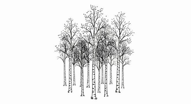 Cluster of stylized birch trees with sparse foliage in a monochromatic sketch style