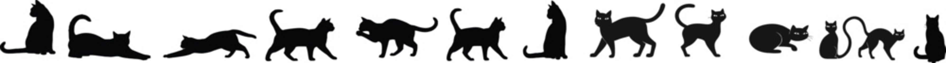 Cat silhouettes in various poses black on white background © Anas