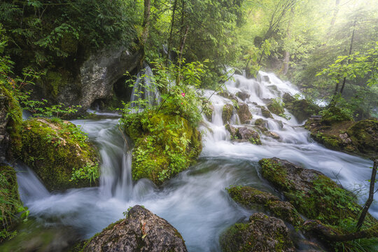 View of a serene cascade of ethereal white water tumbling over vibrant green mossy rocks amidst a dense, sun-dappled forest, Stahovica, Kamnik, Slovenia.