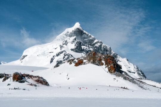 View of a majestic snow-covered mountain peak with a penguin colony and people near red flags on the snowy plains by rocky outcrops with orange lichen Antarctica.