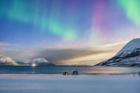 View of ethereal green and purple aurora borealis dances above snow-covered mountains and icy waters, casting a magical glow on tiny beachside huts, Tromso, Troms, Norway.