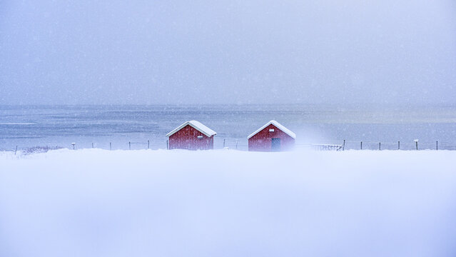 View of red cabins bravely withstand the heavy snowfall, a serene contrast against the muted sea and sky, in wintery Tromso, Troms, Norway.