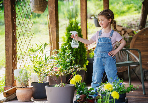 Cute little girl on wooden terrace and spraying flowers with water mister.