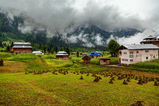 View of quaint village homes nestled in a vibrant green meadow, with a backdrop of misty mountains under a cloudy sky, Arang Kel, Azad Kashmir, Pakistan.