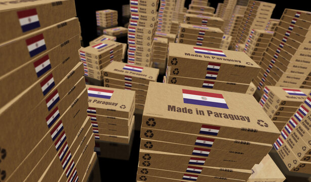 Made in Paraguay box pack 3d illustration