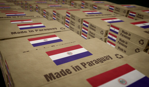 Made in Paraguay box pack 3d illustration