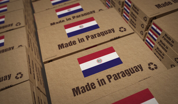 Made in Paraguay box pack 3d illustration