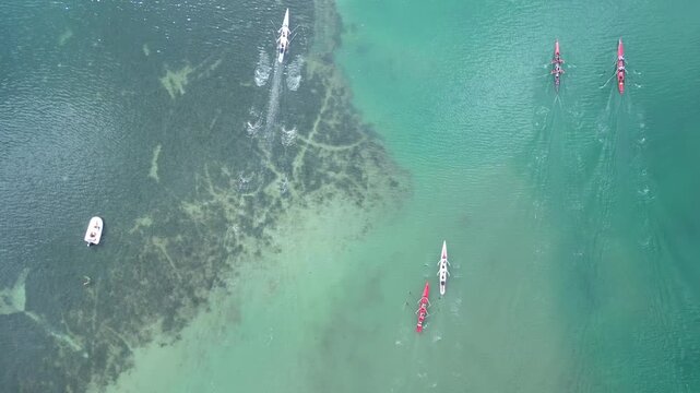 Aerial Top View of Five Rowing Teams Competing in Scull Boats on Turquoise Sea Water. High quality 4k footage