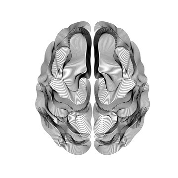 Monochrome abstract brain formed by flowing contour lines, symbolizing neural pathways, cognition, and modern scientific visualization on a white background