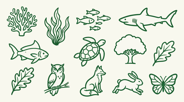 A collection of simple green line art illustrations depicting various elements of nature, including marine life, land animals, and plants.