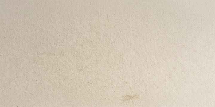 A vintage collection of aged parchment and antique white paper textures featuring a rough grunge surface and brown cardboard material design for a blank rustic background