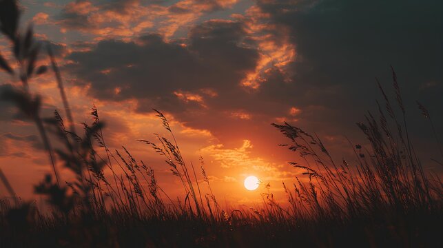 Crimson Sunset Silhouette: An evocative silhouette of tall grasses against a dramatic sunset sky, painting the air with a fiery palette of crimson, orange, and gold. Capture the peaceful atmosphere