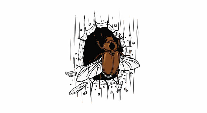 A brown beetle with transparent wings emerges from a hole in wood