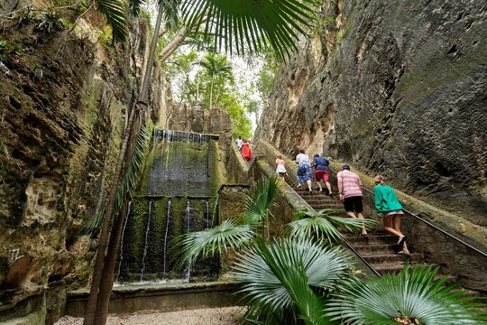 Nassau, The Bahamas - 18 March 2026: View of the ancient Queen's Staircase, where a serene waterfall cascades beside visitors ascending rugged stone steps amidst vibrant tropical foliage.