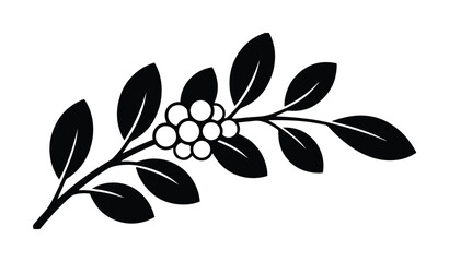 Elegant botanical branch vector illustration, black and white foliage design, decorative leaf and berry element, natural organic graphic resource for branding and decor © Jamie