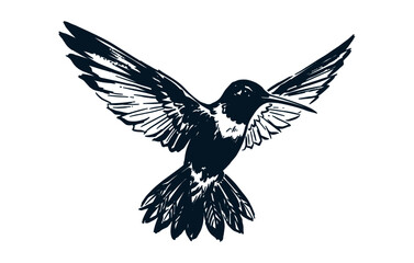 Fototapeta premium Graceful hummingbird in flight sketch drawing with spread wings dynamic.