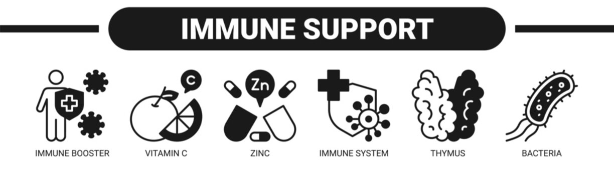Immune Support web banner icon vector illustration concept with icons of immune booster, vitamin C, zinc, immune system, thymus, and bacteria.