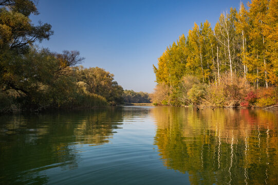 View of the tranquil river reflecting the autumnal colors of the trees lining the banks under a clear sky, Bodiky, Trnava Region, Slovakia.