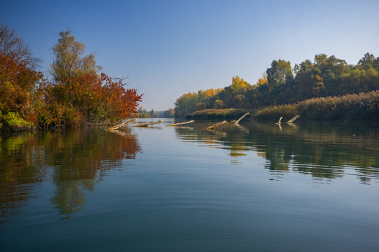 View of serene river reflecting the clear blue sky, bordered by trees with autumn foliage and reeds, creating a peaceful scene, Bodiky, Trnava Region, Slovakia.