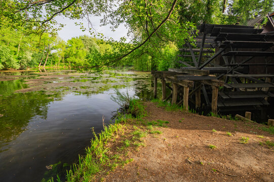 View of a rustic wooden water wheel turning beside a serene lake with algae, framed by lush green trees along the shore, Dunajsky Klatov, Trnava Region, Slovakia.