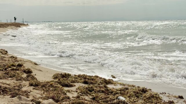 Foaming white waves wash over the sandy beach under a hazy sky. Clumps of green seaweed rest on the shore, creating a peaceful yet melancholic coastal atmosphere.