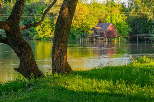View of a rustic mill house standing on stilts in the glistening river, framed by lush greenery and sturdy trees, Tomasikovo, Trnava Region, Slovakia.