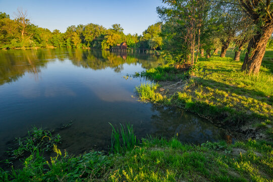 View of a tranquil river reflecting the serene sky, bordered by lush green vegetation and mature trees casting long shadows in Tomasikovo, Trnava Region, Slovakia.