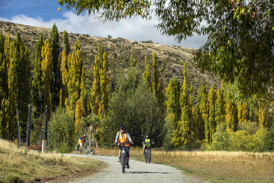 Arrowtown, New Zealand - 31 March 2026: View of cyclists on a gravel path, vibrant golden and green autumn poplars ascending a sunlit hill.