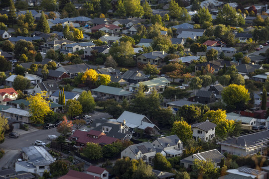 View of late afternoon sunlight across the town houses, picking out vibrant green tree foliage contrasting against the roofs, Arrowtown, Otago Region, New Zealand.