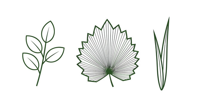 Botanical leaf, green outline, vector illustrations, plant elements, foliage icons