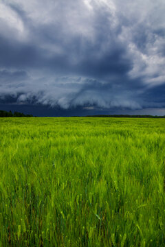 Storm clouds of thunderstorm over a field in Lithuania
