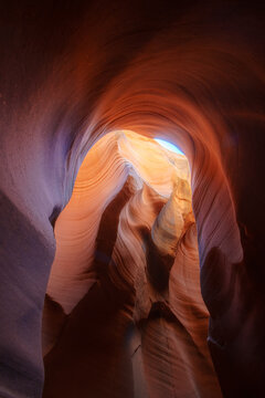View of swirling sandstone walls bathed in warm light, revealing the canyon's depth and texture, a natural masterpiece of erosion, Escalante, Utah, United States.