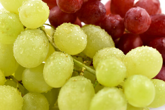 Dewy fresh red and green grapes close-up stock photo images. Template for background, banner, card. Juicy ripe red and green grapes detailed photo images